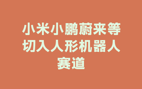 小米小鹏蔚来等切入人形机器人赛道
