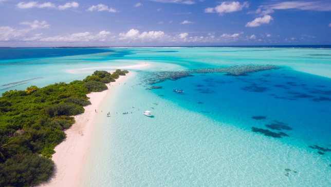 天猫精灵放大招!未来酒店4.0来了,AI智能体要”抢”酒店员工的饭碗?